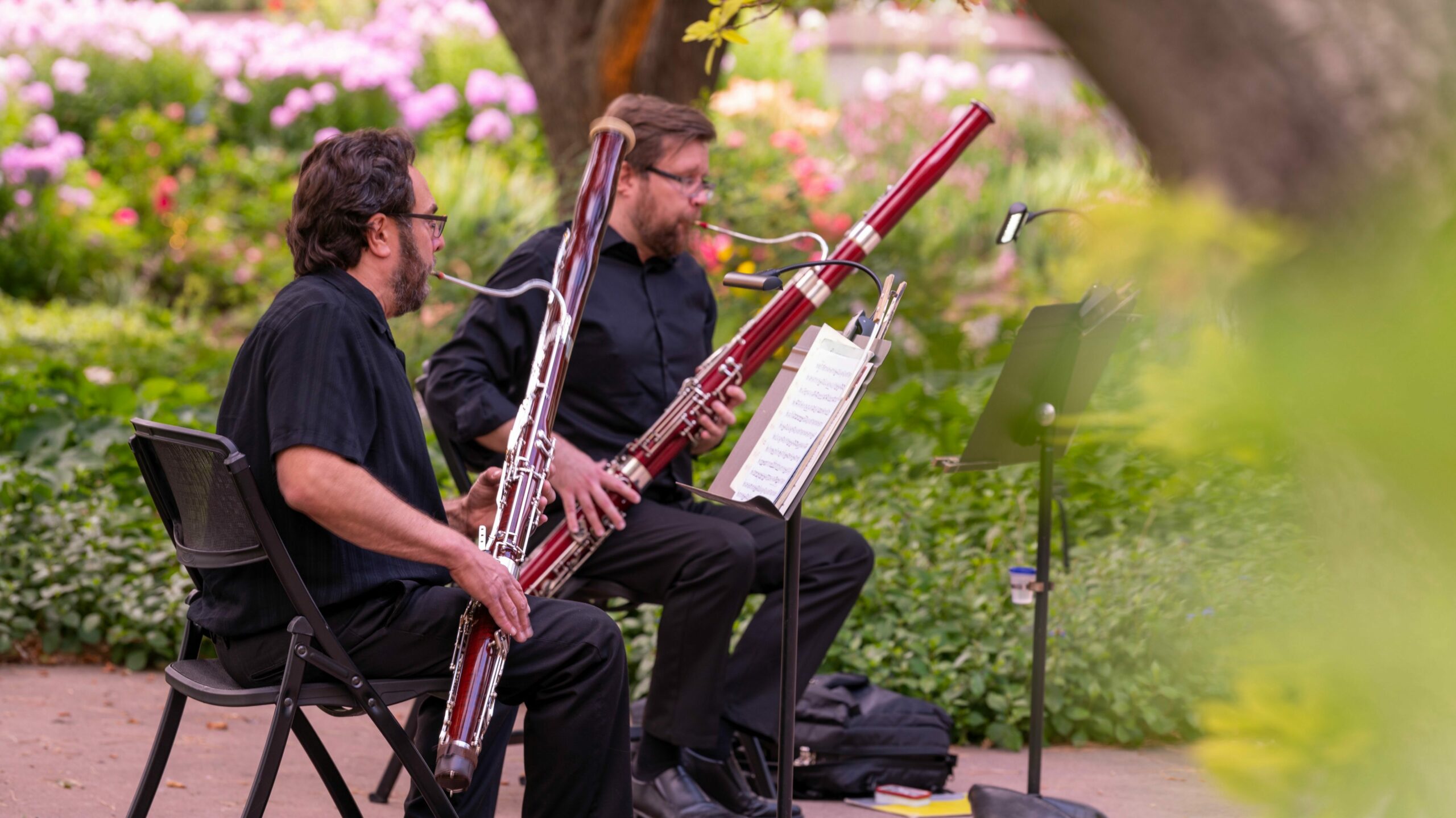 Bassoons in the Botanic Gardens