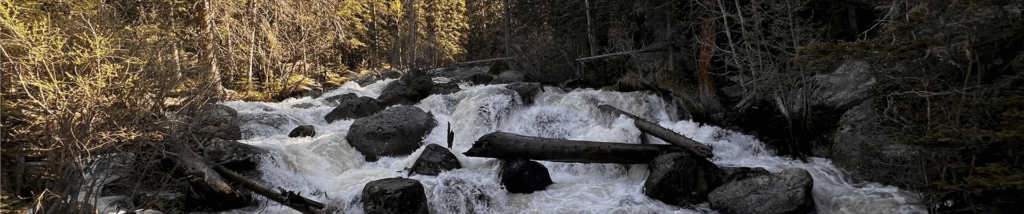 Image from Ouzel Falls via Wild Basin Trail in Rocky Mountain National Park. Courtesy of Rich Appelgate via AllTrails.